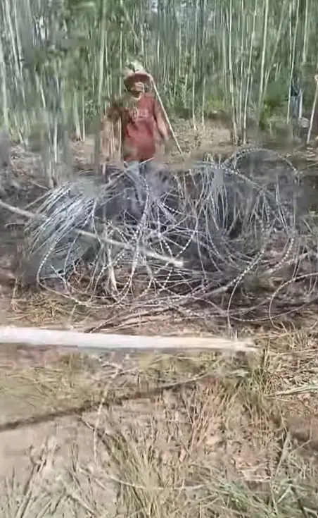 รื้อลวดหนาม