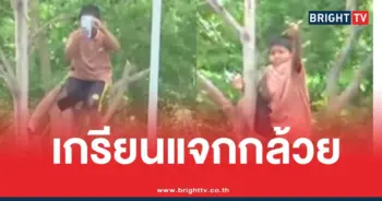 เขมรปีนต้นไม้แจกกล้วย