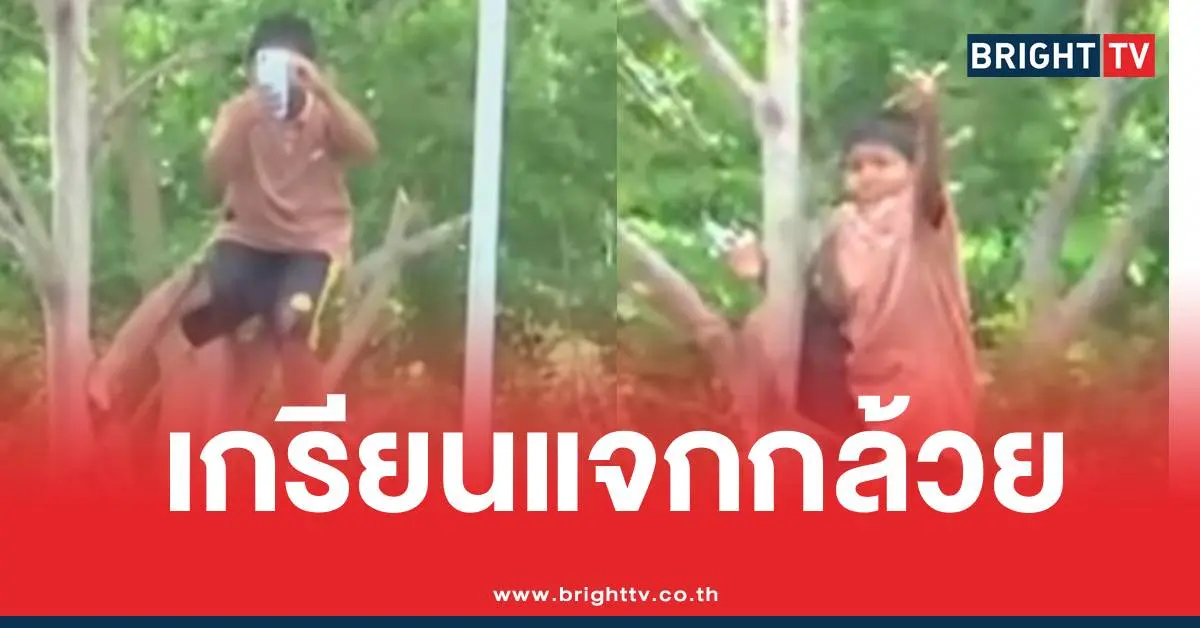 เขมรปีนต้นไม้แจกกล้วย