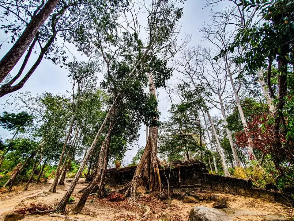 ปราสาทคนา4