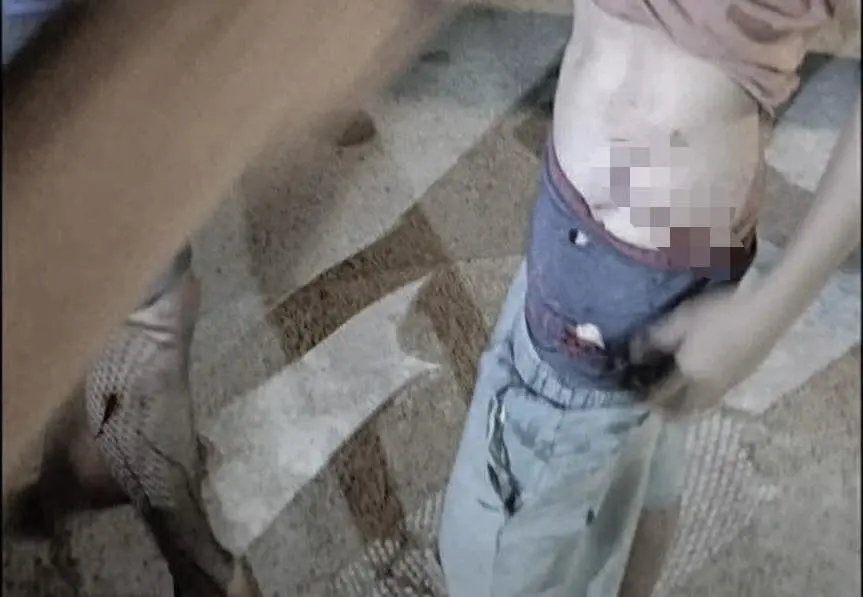 สิงโตกัดเด็ก2