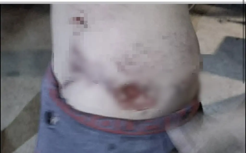 สิงโตกัดเด็ก1