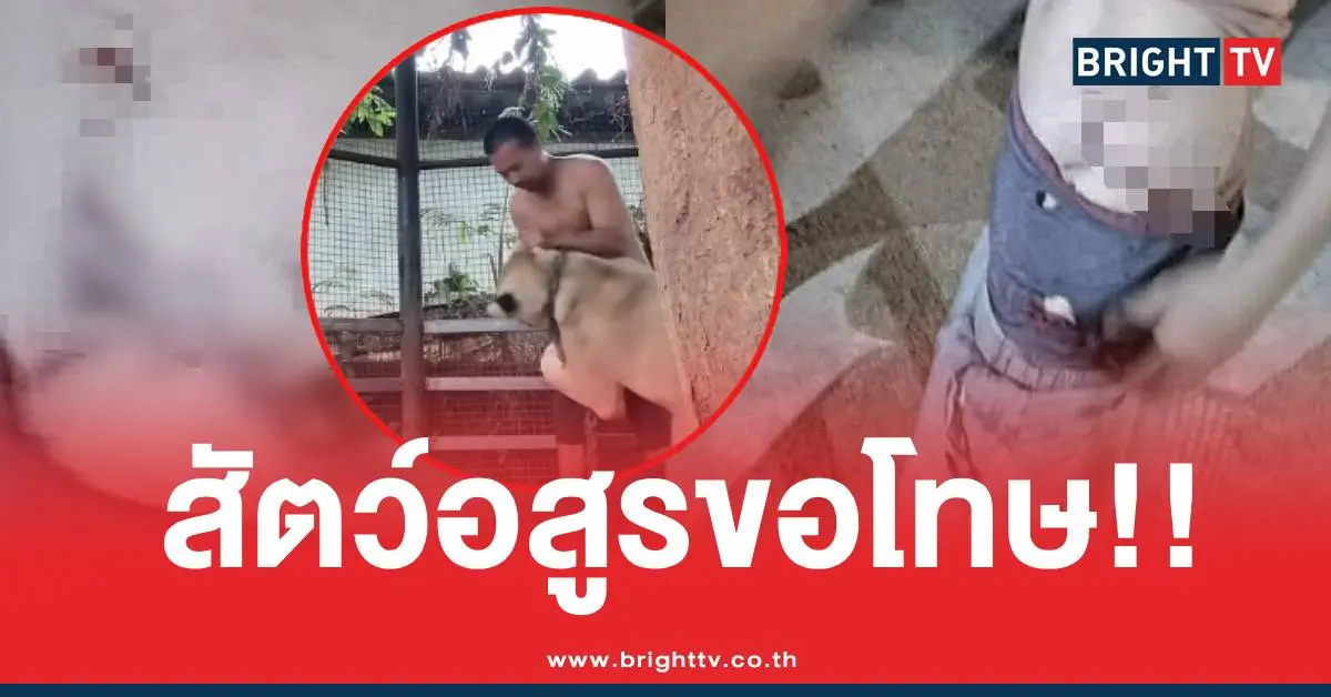 สัตว์อสูรสิงโตกัดเด็ก