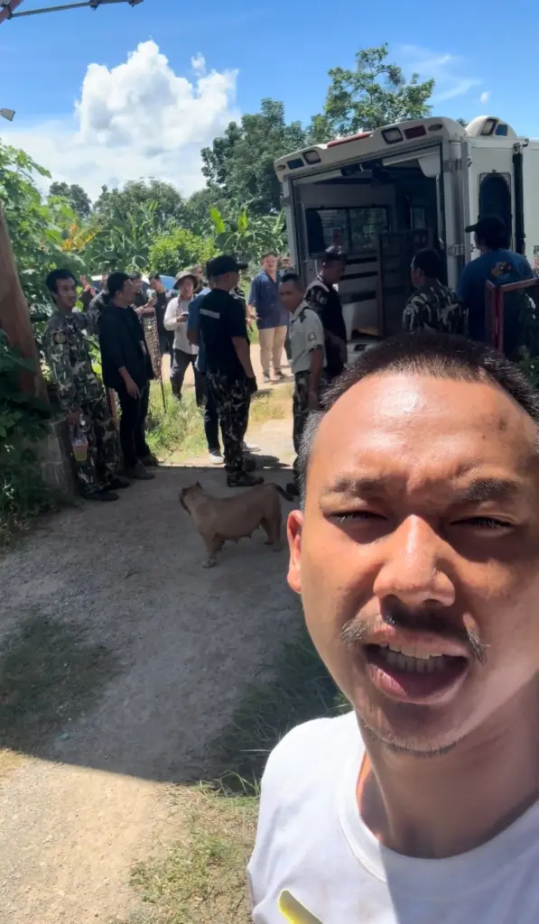 สิงโตย้าย2