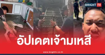 สิงโตกัดเด็กย้าย