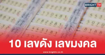 10 เลขเด่นมาแรง แม่ทำเนียน
