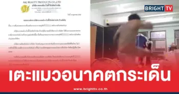 คลิปหนุ่มเตะแมว