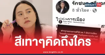 ไอซ์รักชนกนักการเมืองสีเทา