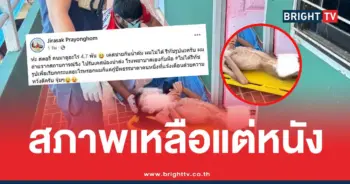 น้ำกระท่อมหนังหุ้มกระดูก