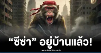 รถบรรทุกลิงทดลองติดเชื้อ