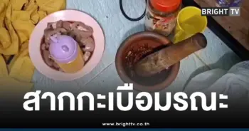 สากกะเบือผัวแทงคอเมีย