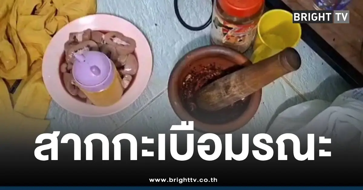 สากกะเบือผัวแทงคอเมีย