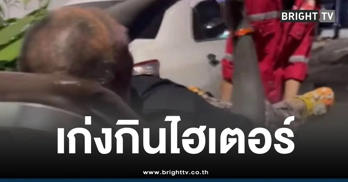 เก่งลายพรางกินไฮเตอร์