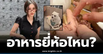 โบกี้ไลอ้อน