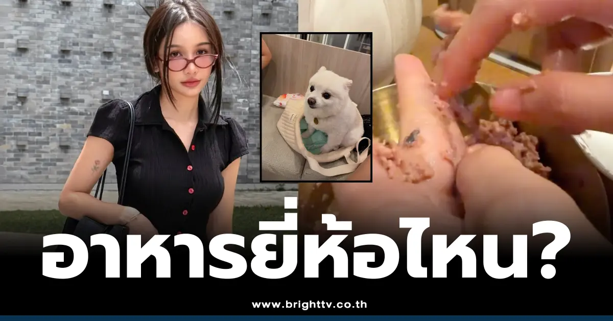 โบกี้ไลอ้อน