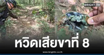 ทหารเหยียบระเบิด