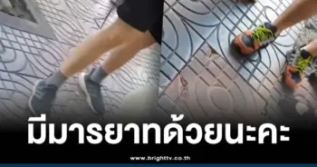 ดราม่าร้านดังไข่เจียวปู