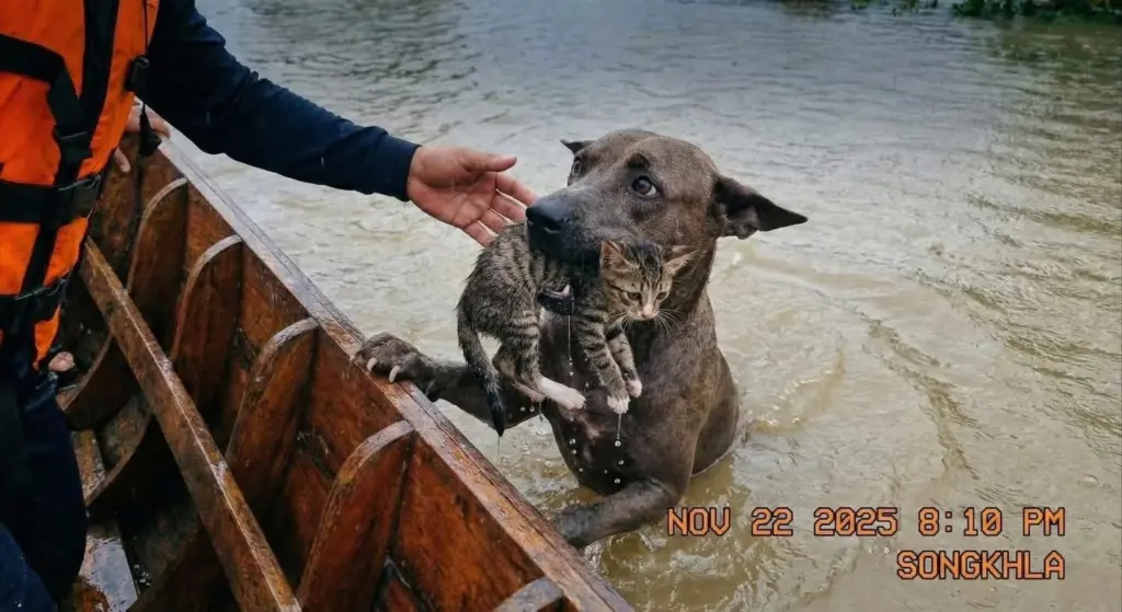 ภาพปลอมAI5