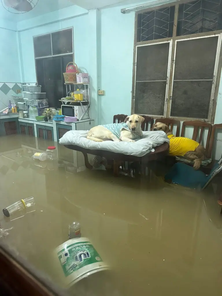 589717469 25396437653321571 1305957923086729327 n