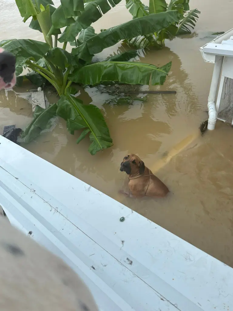 589358895 1473459091023330 1170107840604765633 n