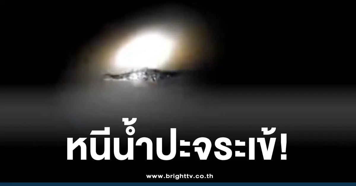 คลิปจระเข้น้ำท่วมหาดใหญ่