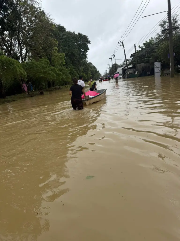 589381532 25761411870123684 4520533581407383176 n