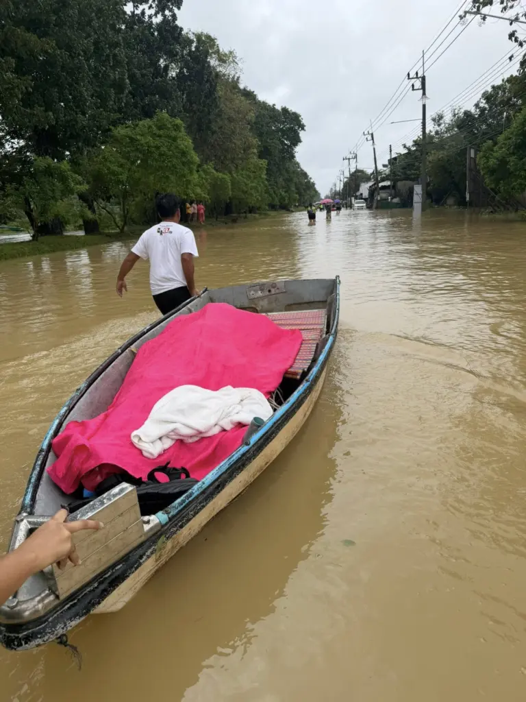 589915314 25761411876790350 1273358404058309101 n