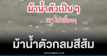 คลิป ยาบ้าลอยน้ำ