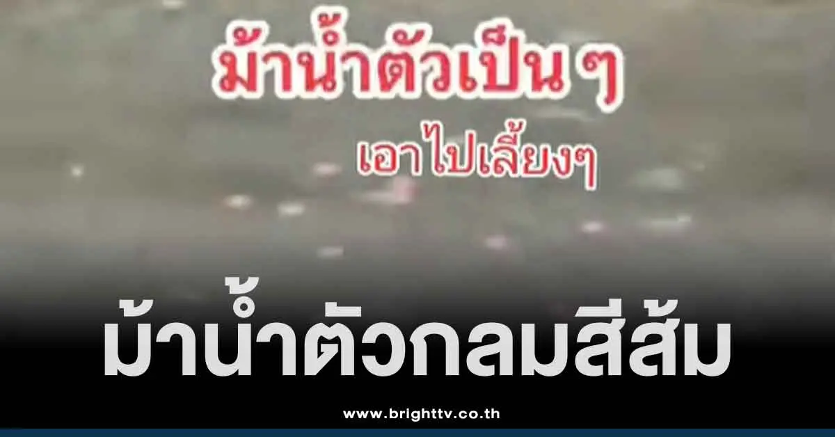 คลิป ยาบ้าลอยน้ำ