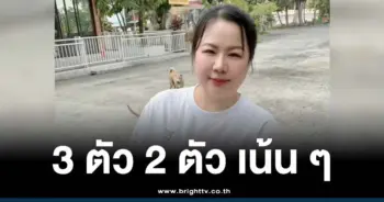 เจ๊กุ้ง พารวย 1 12 68