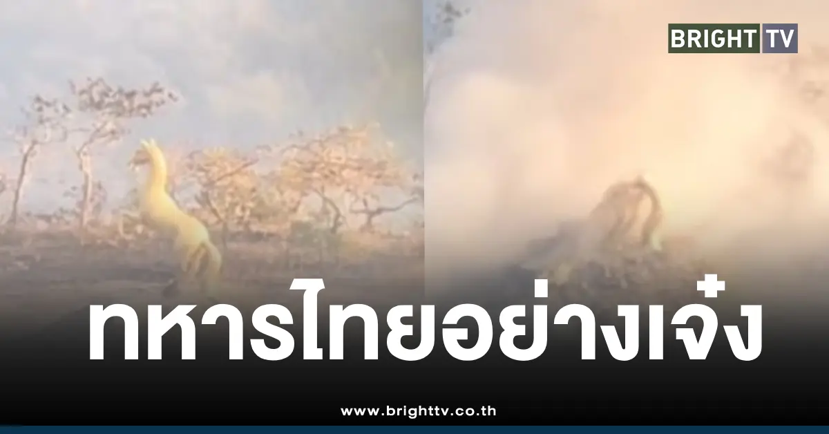 ทหารไทยถล่มอนุสาวรีย์ม้าทอง