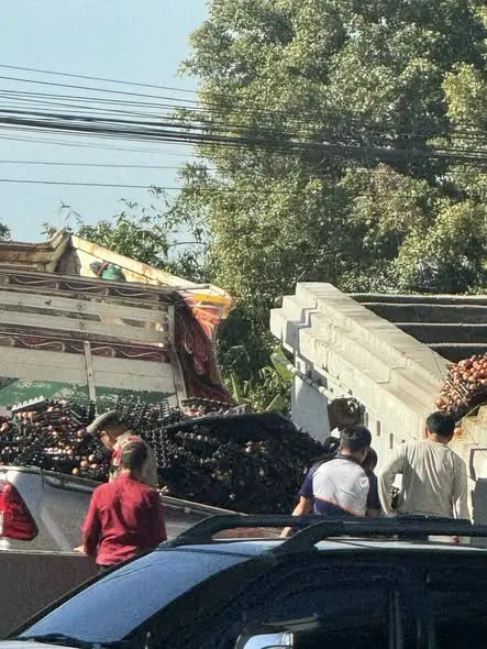 600400961 1288454566657097 2126695489658494529 n