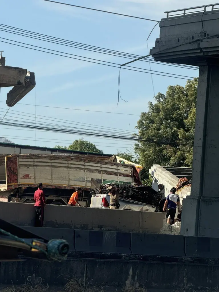 598362814 1288453903323830 5191881835336321014 n