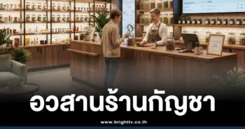 กฎใหม่ ร้านขายกัญชา
