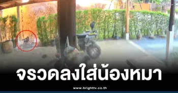 คลิป BM-21 ถล่มบ้านคนไทย