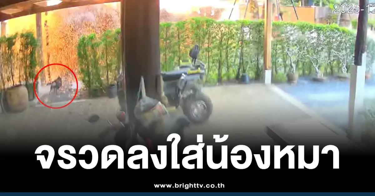 คลิป BM-21 ถล่มบ้านคนไทย