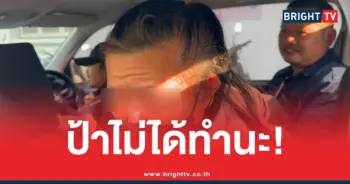 ป้าแม่บ้านมหาภัย