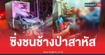 กระบะชนช้างป่าเขาใหญ่