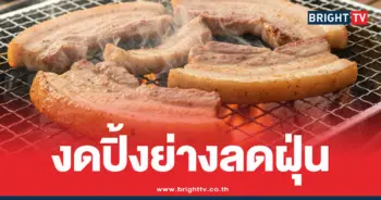 งดปิ้งย่างลดค่าฝุ่นpm