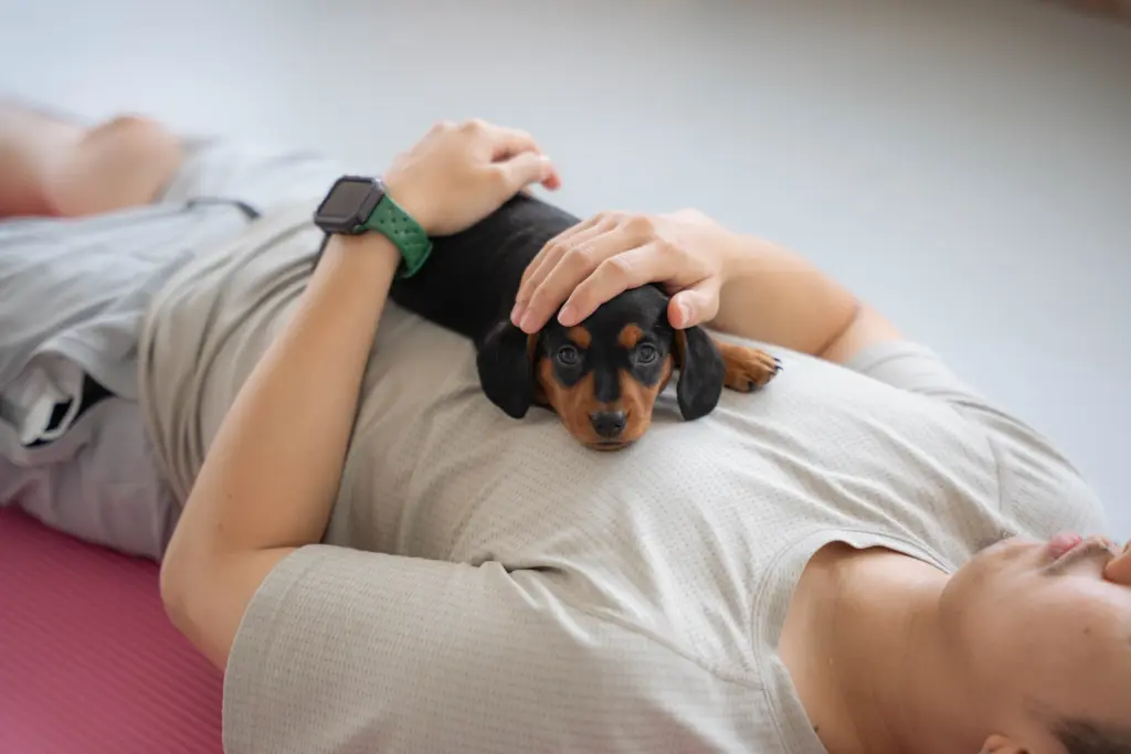 เมืองไทยประกันชีวิต จัดกิจกรรม PUPPY YOGA BKK ฮีลใจกับน้องหมา (3)