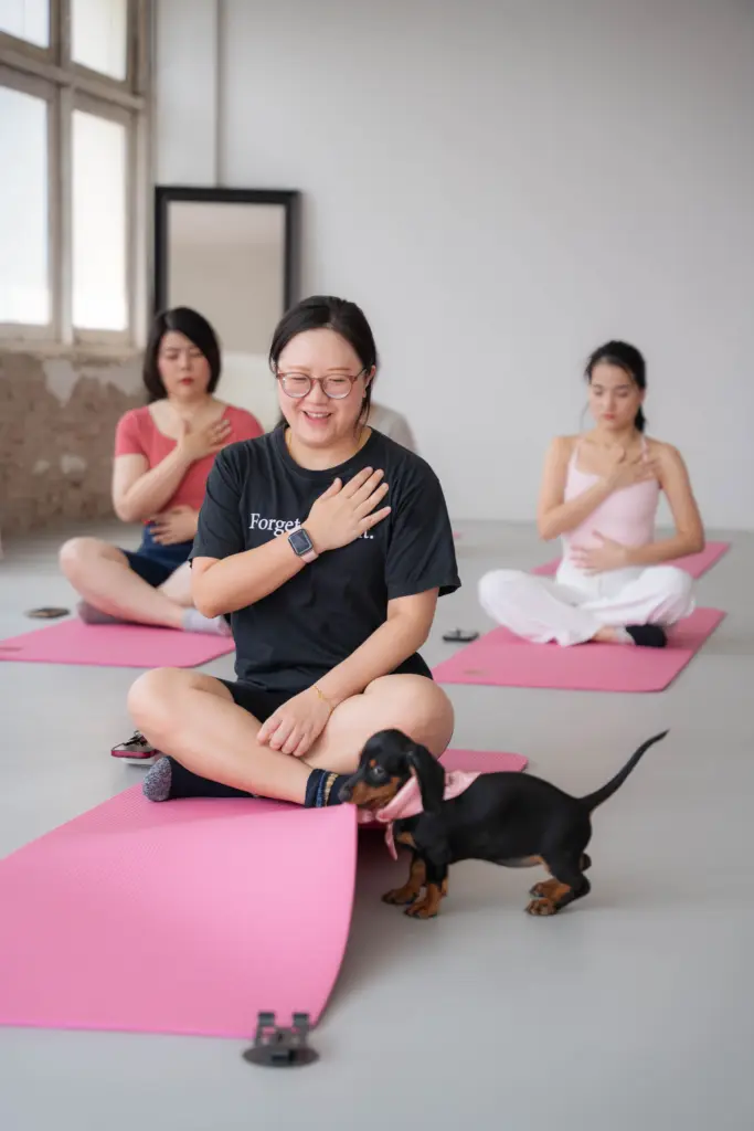 เมืองไทยประกันชีวิต จัดกิจกรรม PUPPY YOGA BKK ฮีลใจกับน้องหมา (6)