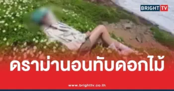 ดราม่านอนทับพืชบนภูเขา