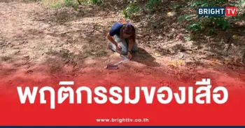 สาเหตุเสือโคร่งขย้ำเจ้าหน้าที่