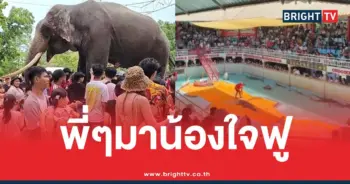 ฟาร