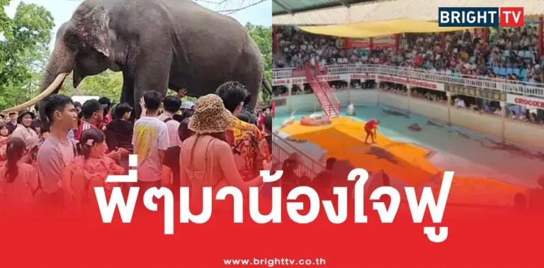 ฟาร