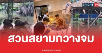 สวนสยามน้ำท่วมกวาง