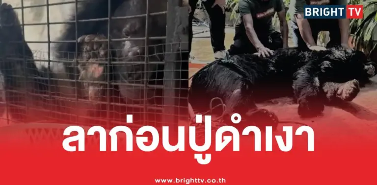 ลาก่อนปู่ดำเงา